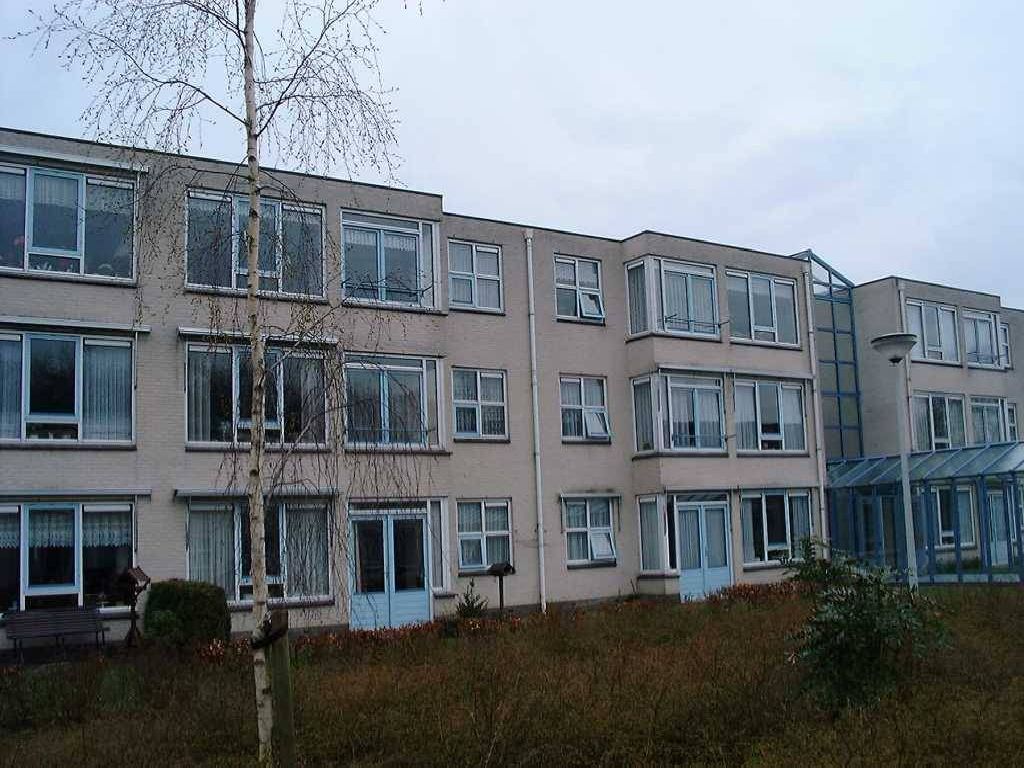 Rikkingahof 41