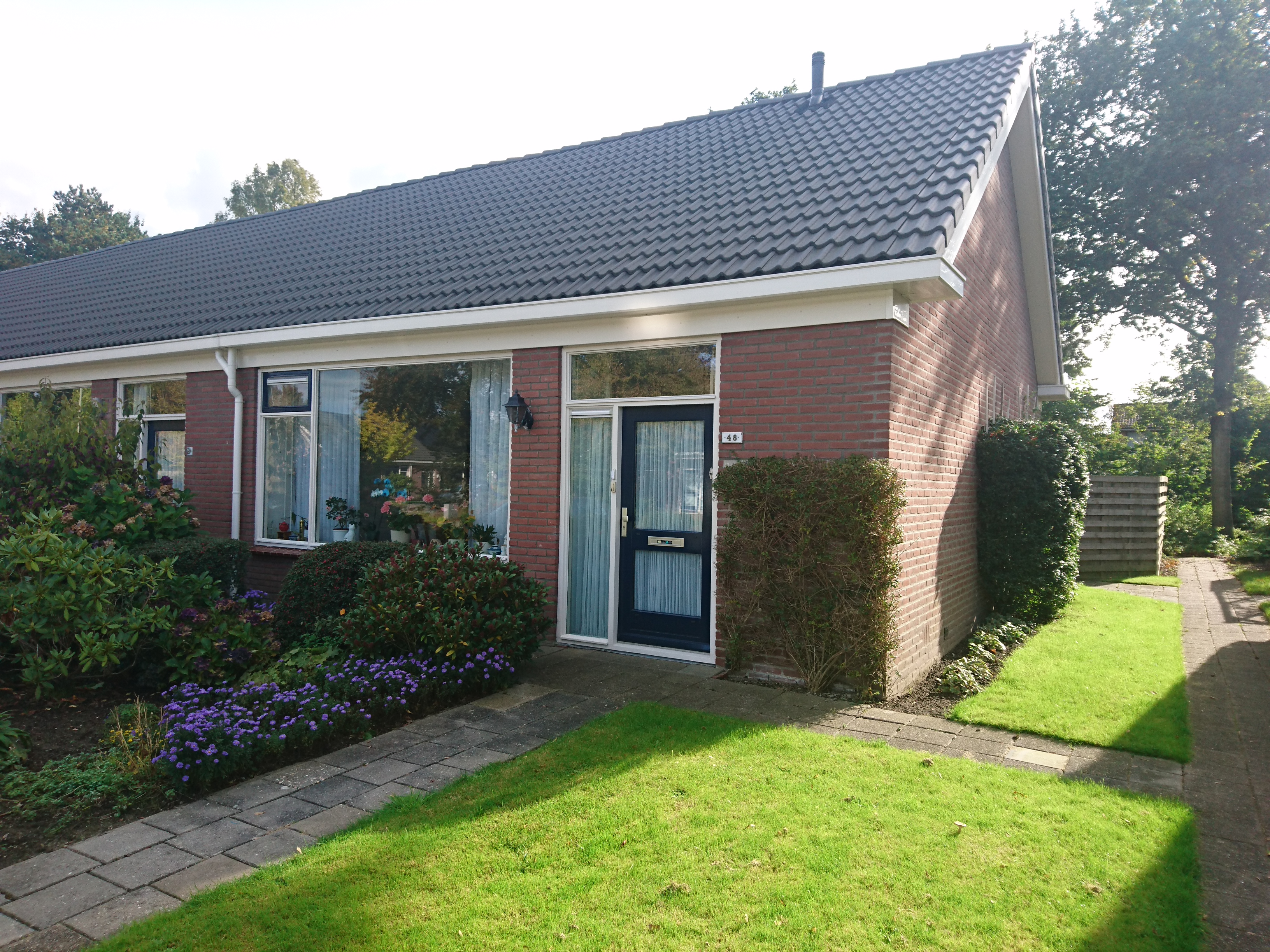 Dingspil 48, 9481 GK Vries, Nederland