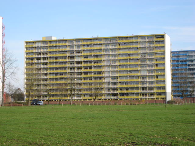 Speenkruidstraat 339