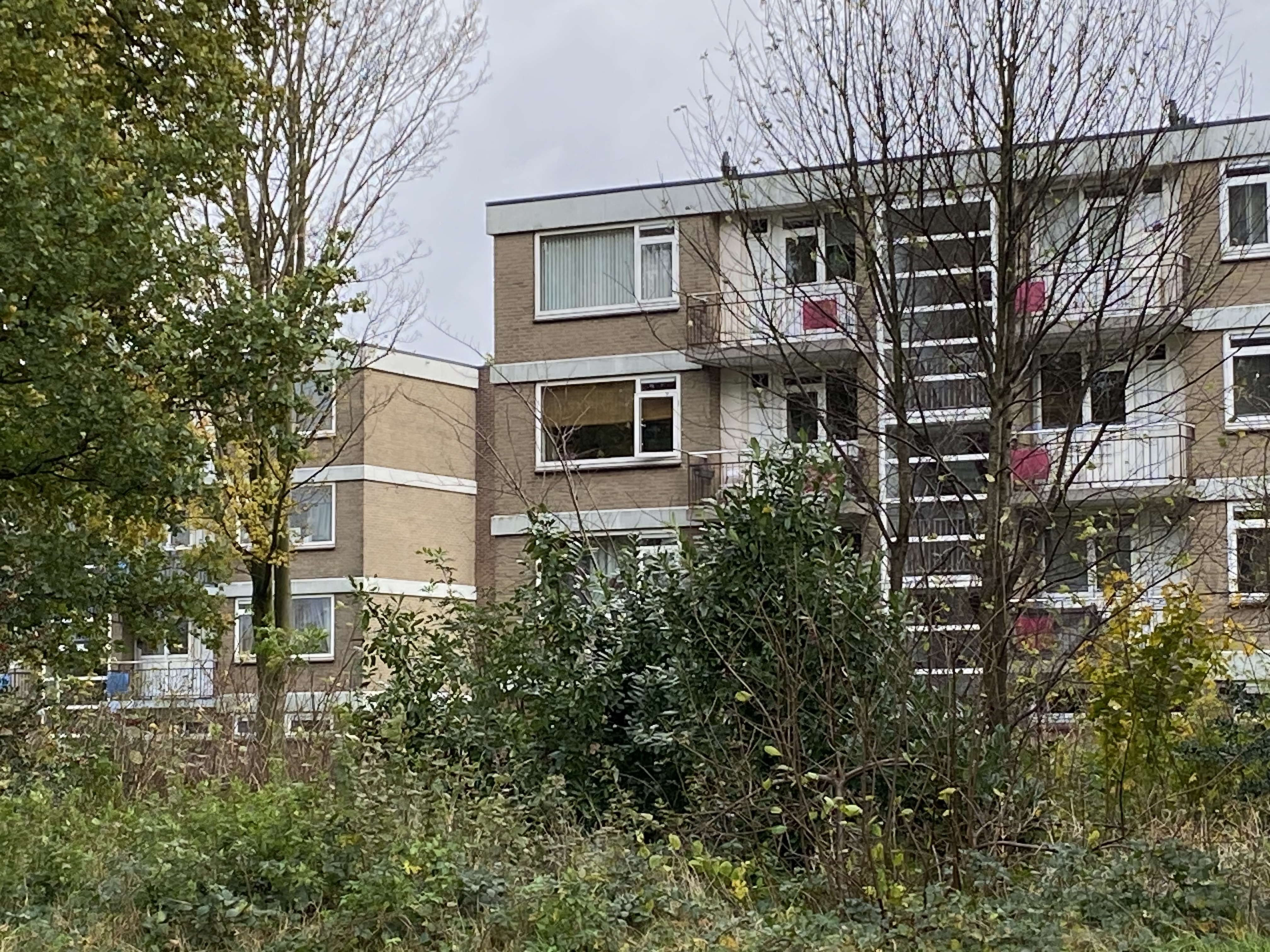 De Lijster 47