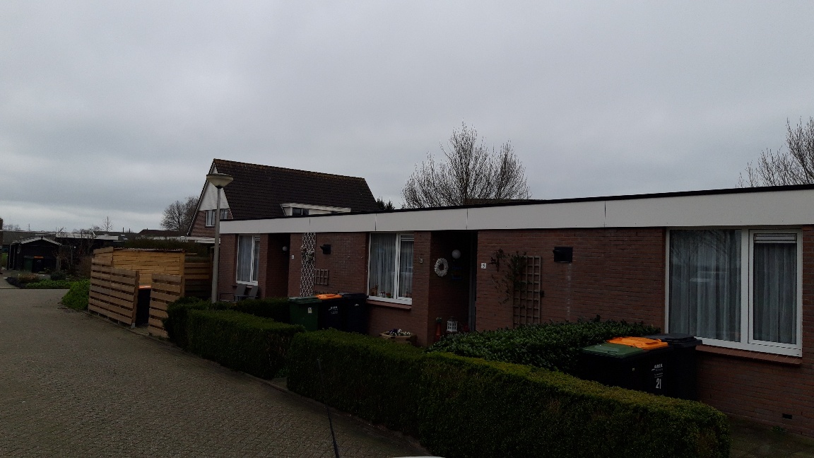 Veenbes 19
