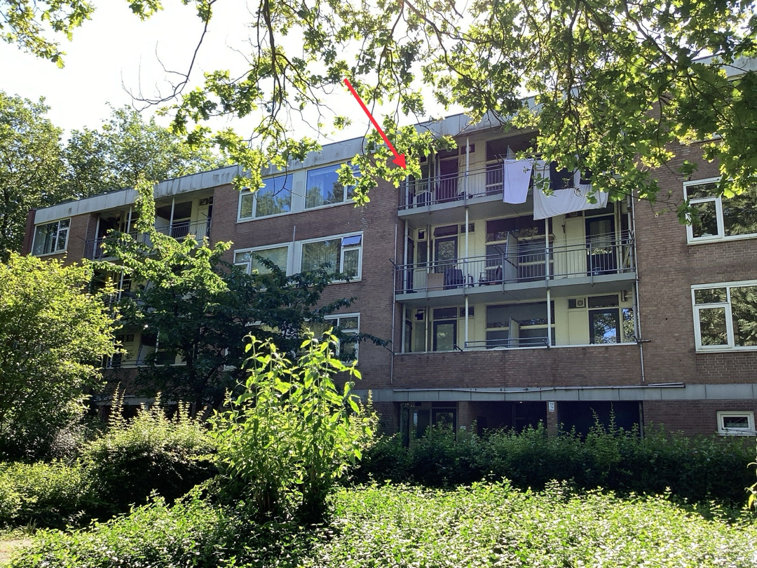 Zuidenveld 98, 9406 LN Assen, Nederland