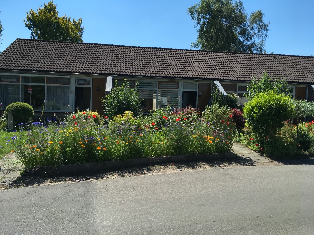 Rolderdingspillaan 38, 9451 GB Rolde, Nederland