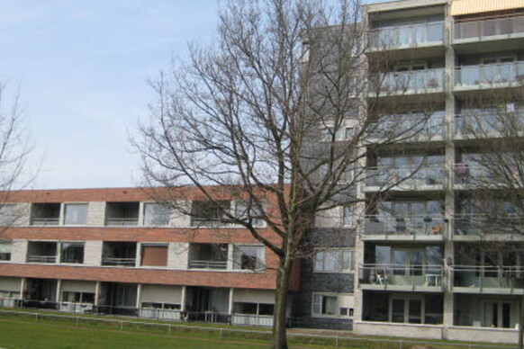 Rijnstraat 39