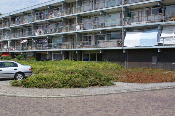 B. van der Helststraat 116