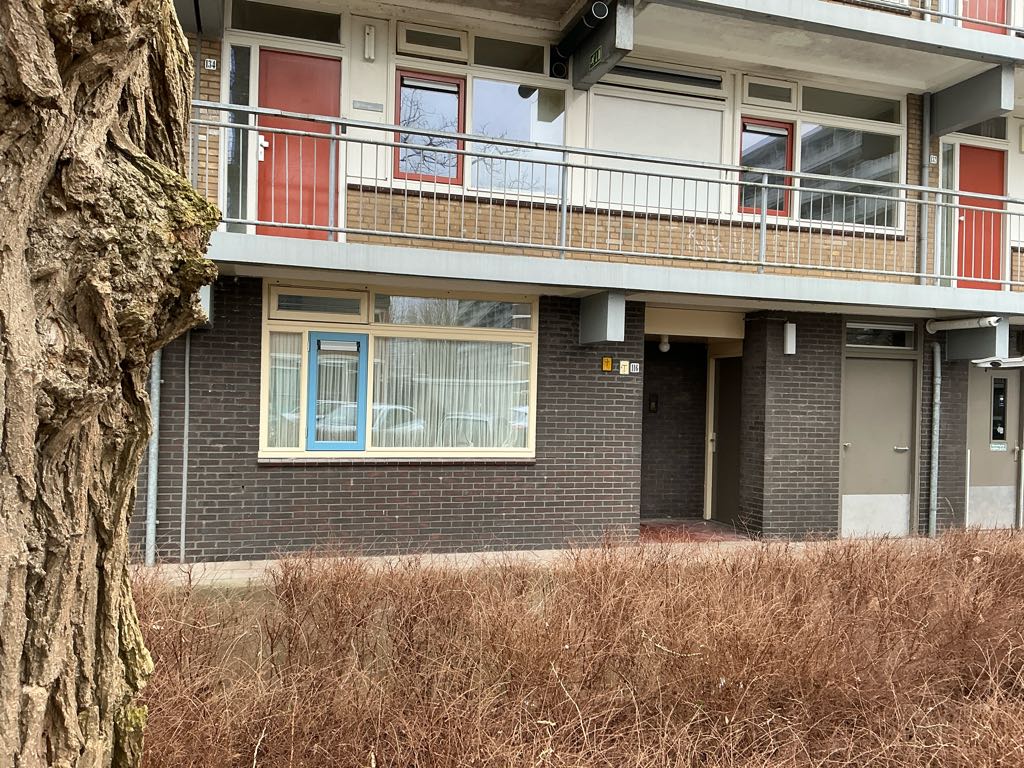B. Van der Helststraat 116