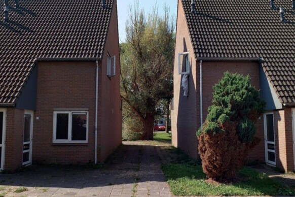 Platanenhage 68