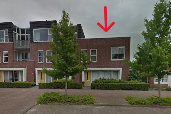 Veenbaas 20