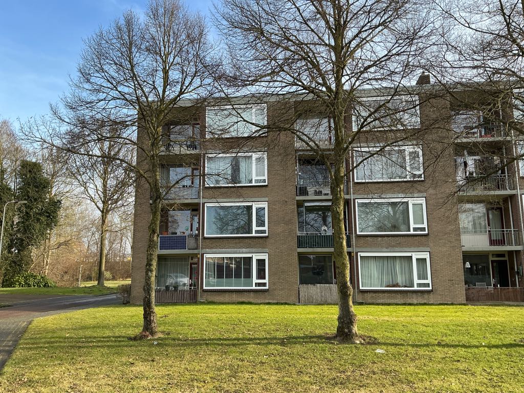 Van Ewijcksingel 40