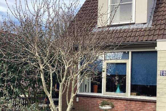 Broekemastraat 72