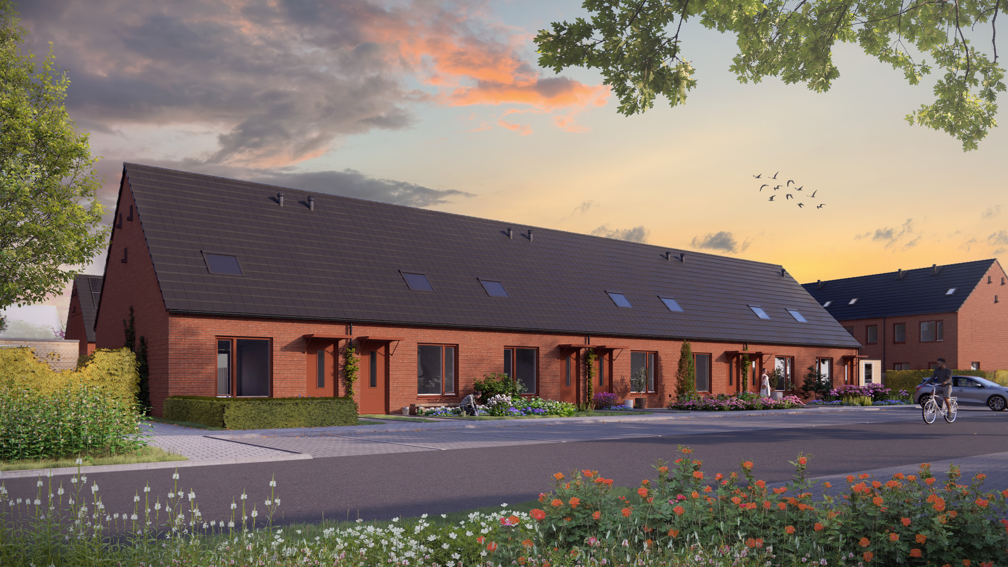 Hooiland 64, 9408 RC Assen, Nederland
