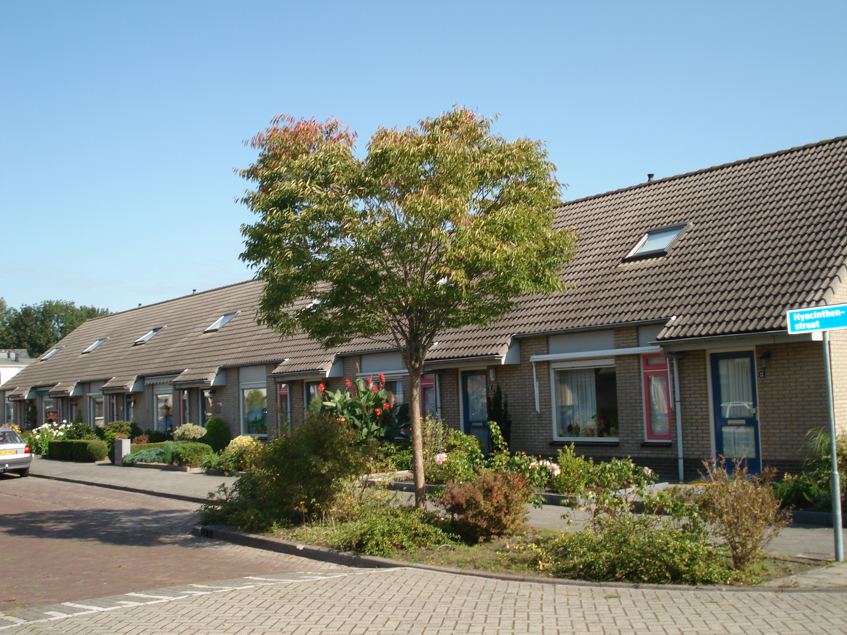 Hyacinthenstraat 1