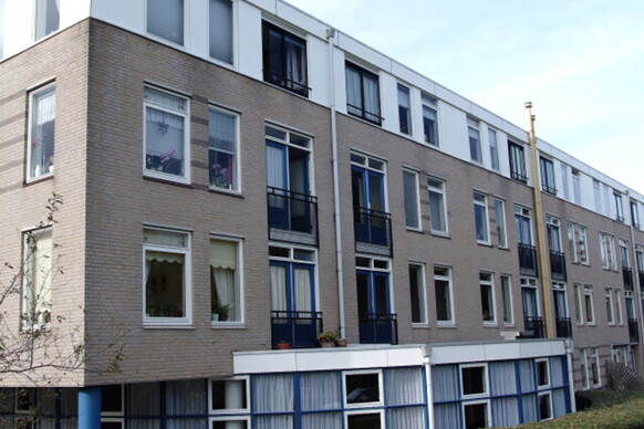 Walakker 113