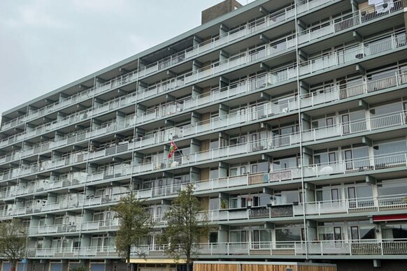 Adriaen van Ostadestraat 88