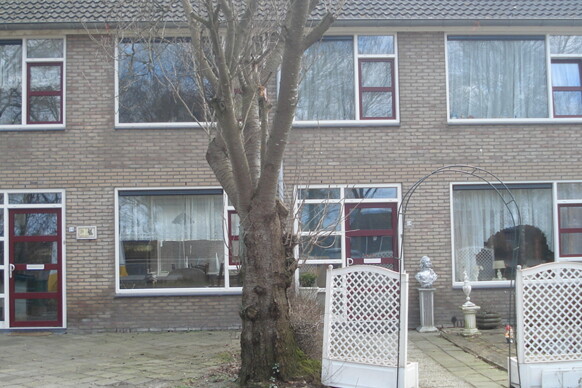 Nassaustraat 25