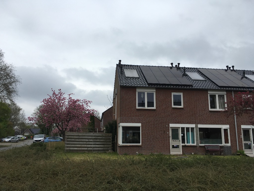 Riegheide 29