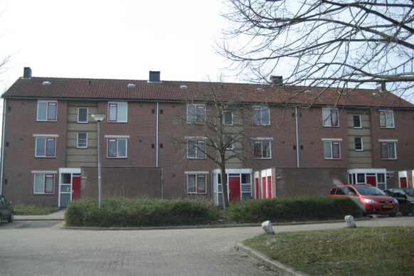 Winkelakker 5