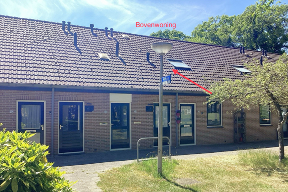 Molenweg 36