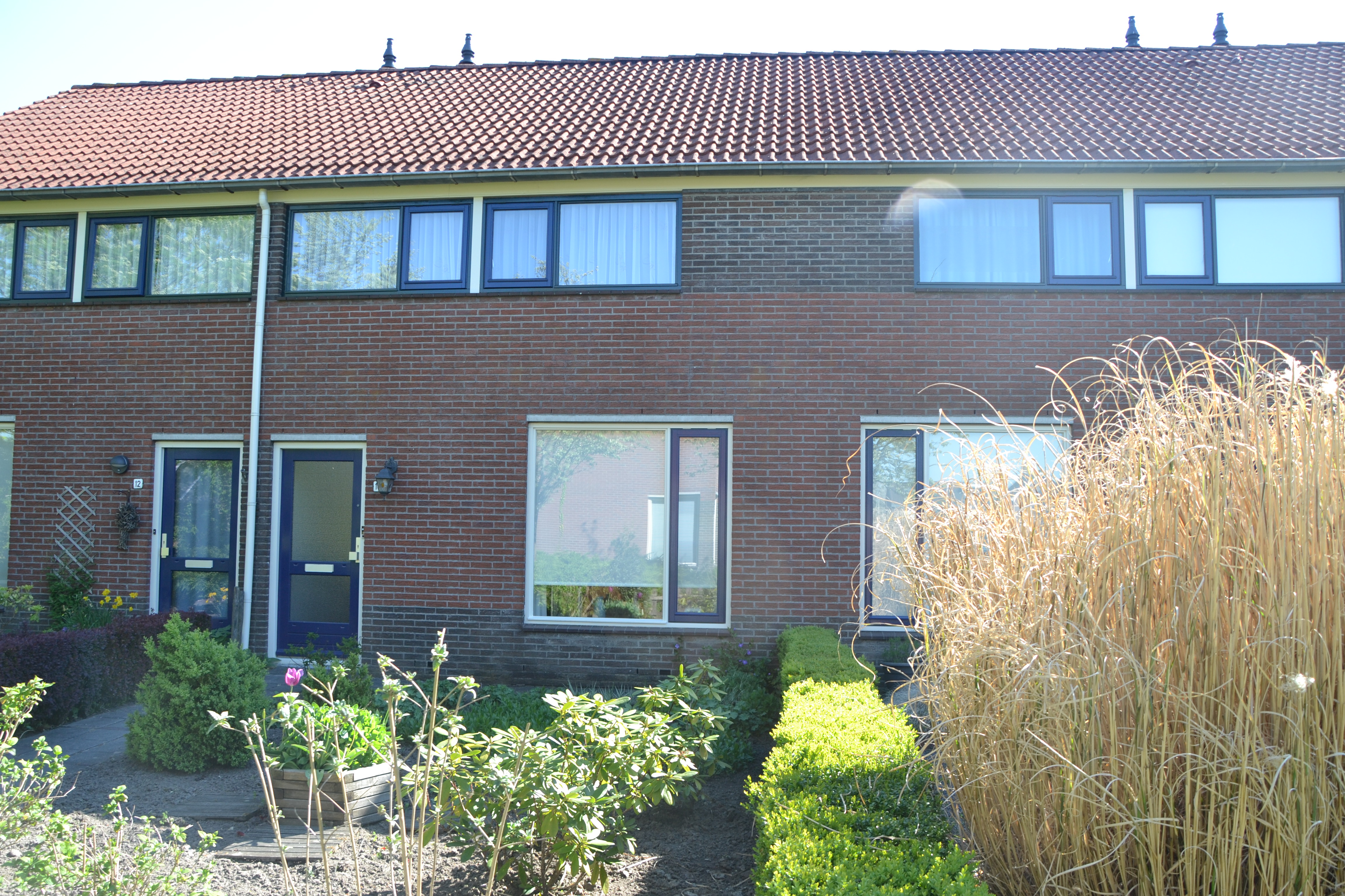 Boterbloem 10, 9411 CD Beilen, Nederland