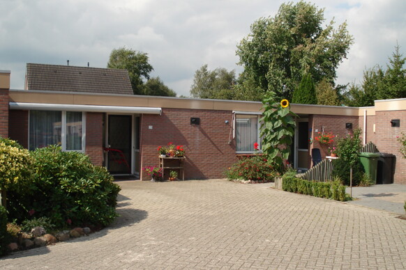 Veenbes 23