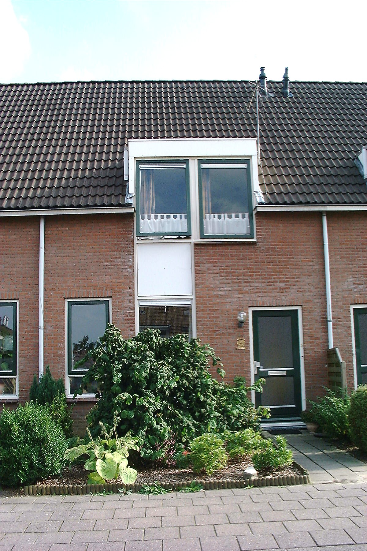 Wilgenroos 3