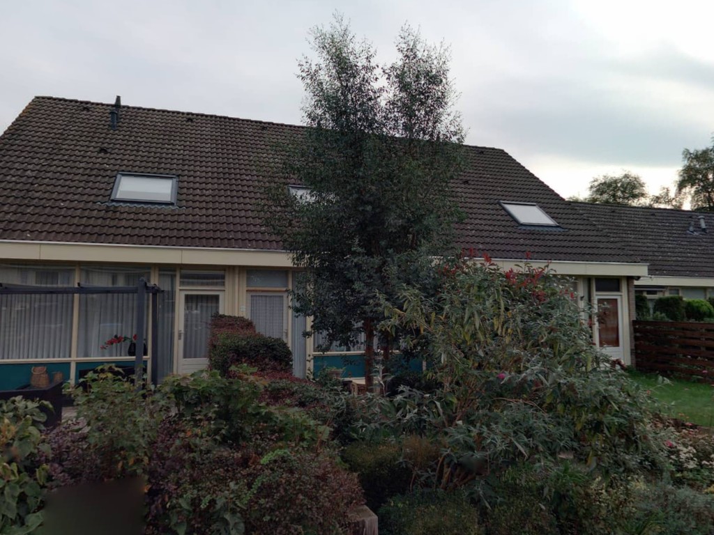 Begoniastraat 11, 9521 GZ Nieuw-Buinen, Nederland