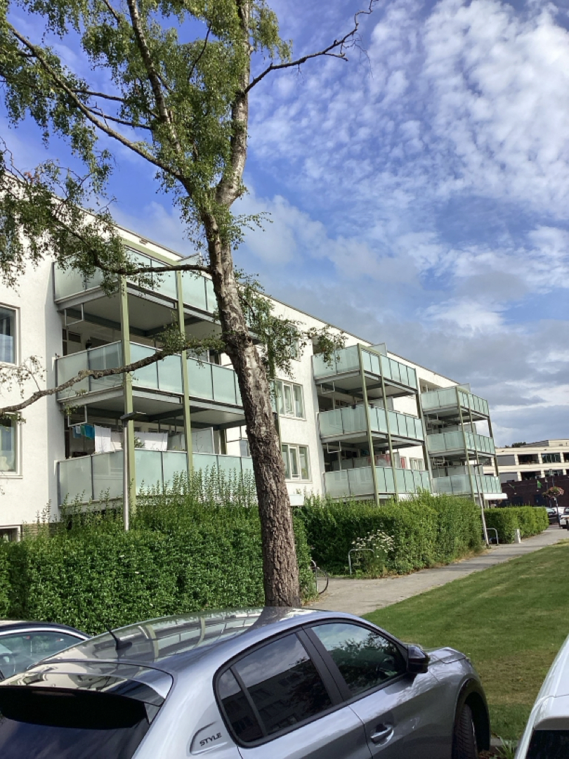 Dotterbloemstraat 51, 9404 GH Assen, Nederland