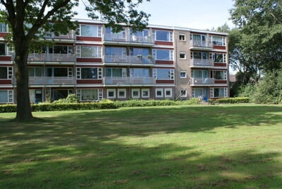 De Rietgans 89