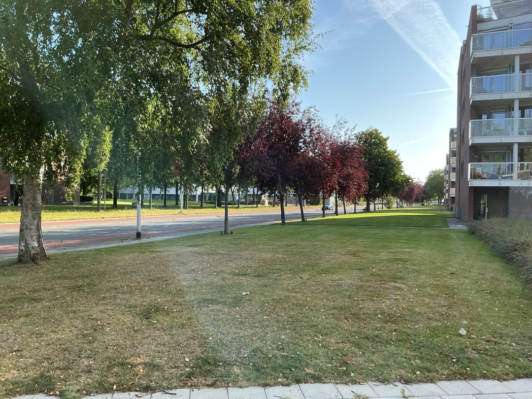 Ingenieur J.W. Albardastraat 45