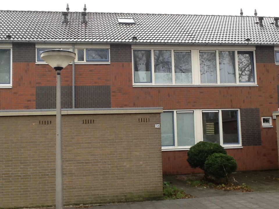 Gerard Ter Borchstraat 36