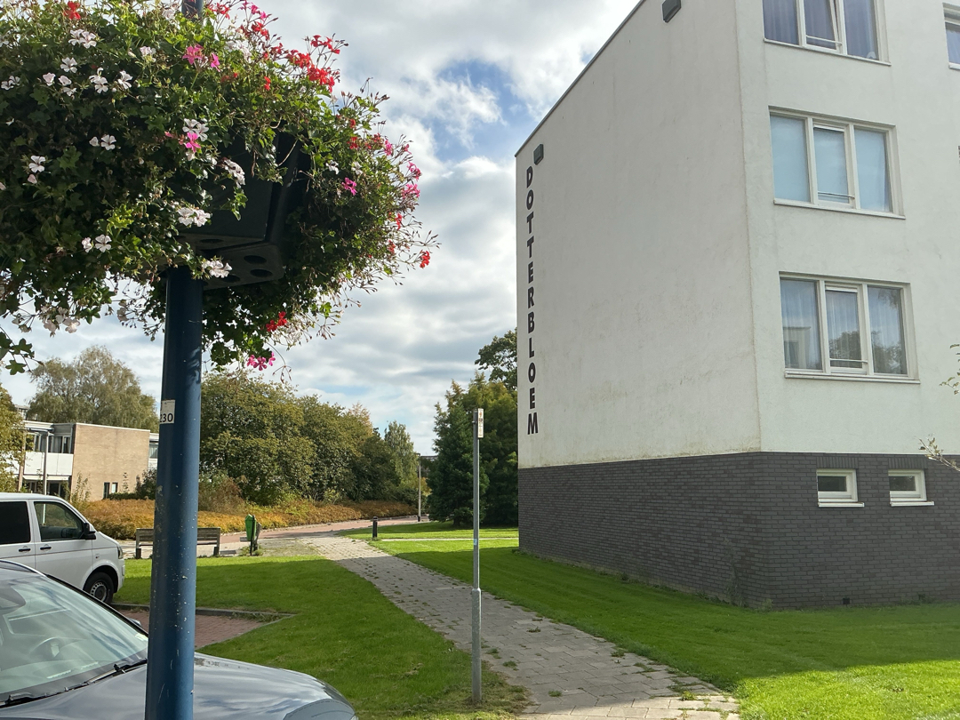 Dotterbloemstraat 65