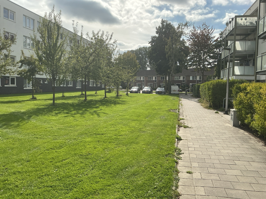 Dotterbloemstraat 65