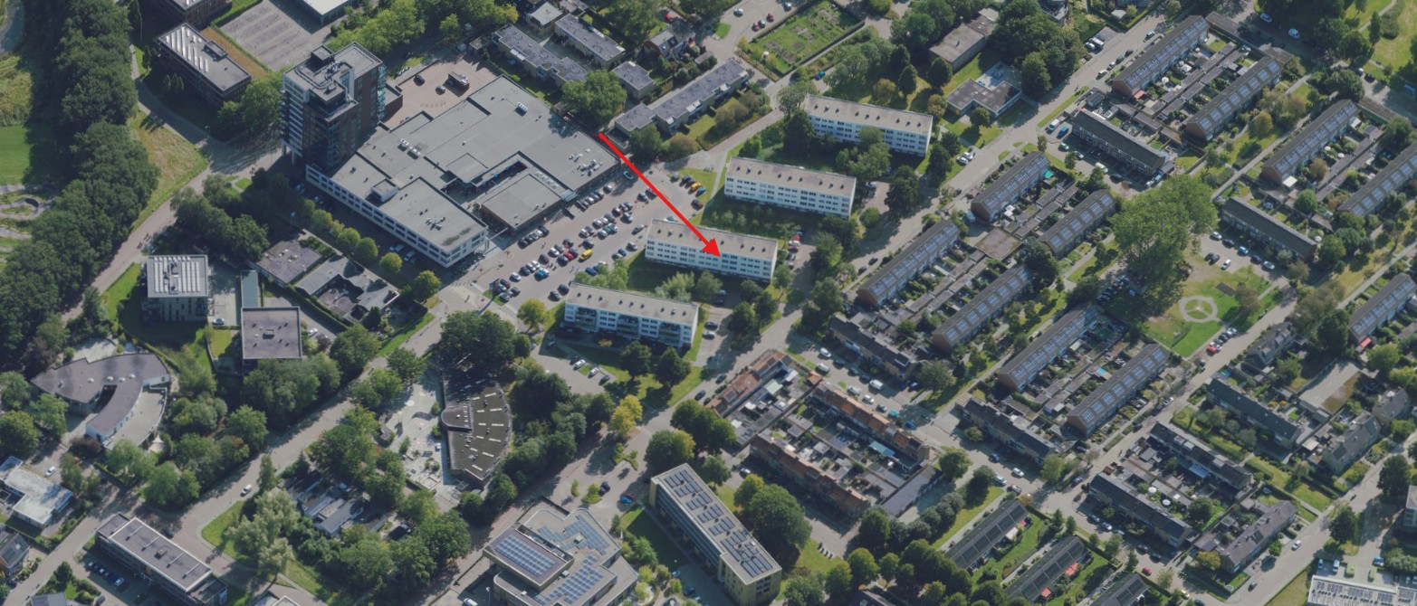 Dotterbloemstraat 65