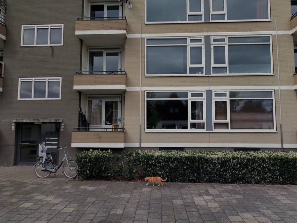 Winkelhoek 34, 9601 ET Hoogezand, Nederland