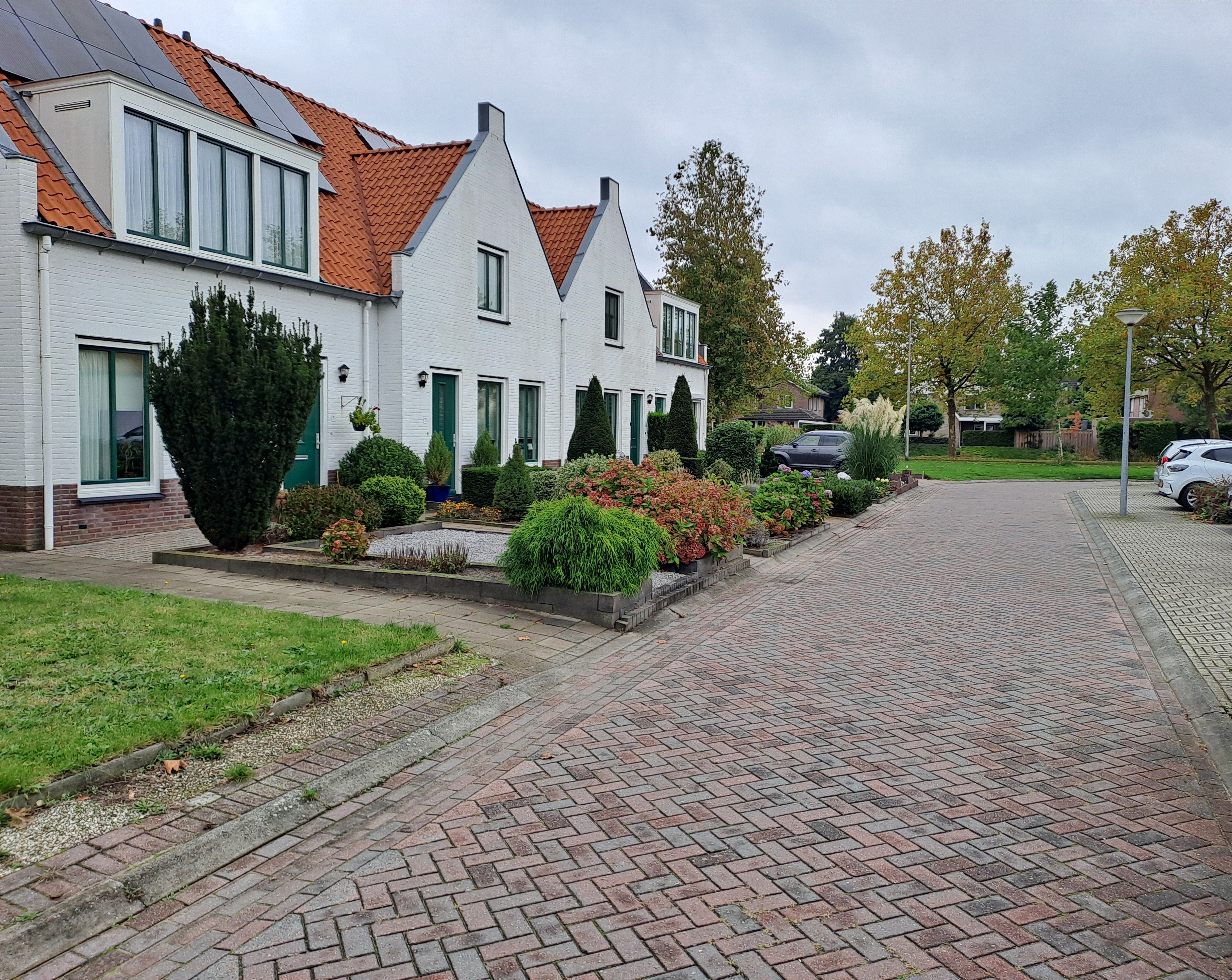 Cotoneaster 5, 7742 SV Coevorden, Nederland