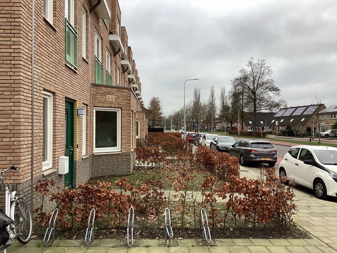 Ingenieur J.W. Albardastraat 49