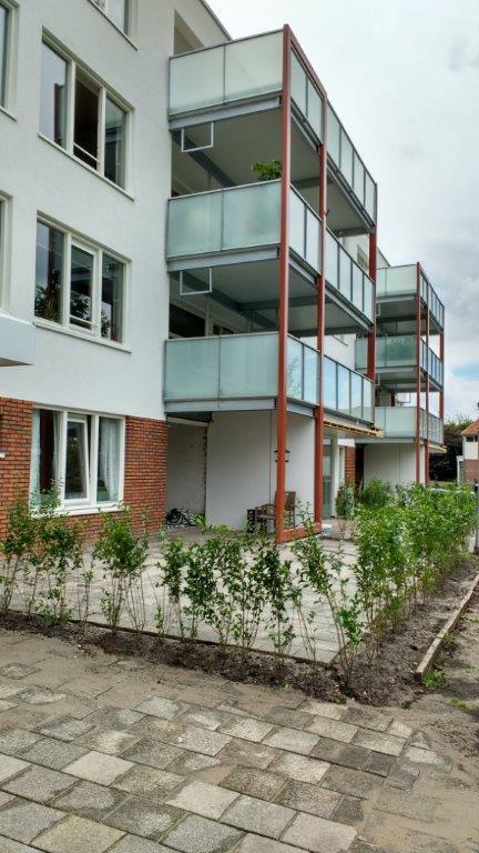 Dotterbloemstraat 11