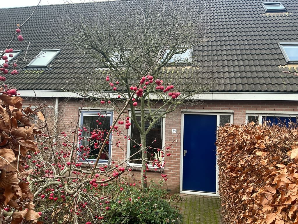 W. Stokvisstraat 39, 8331 SM Steenwijk, Nederland