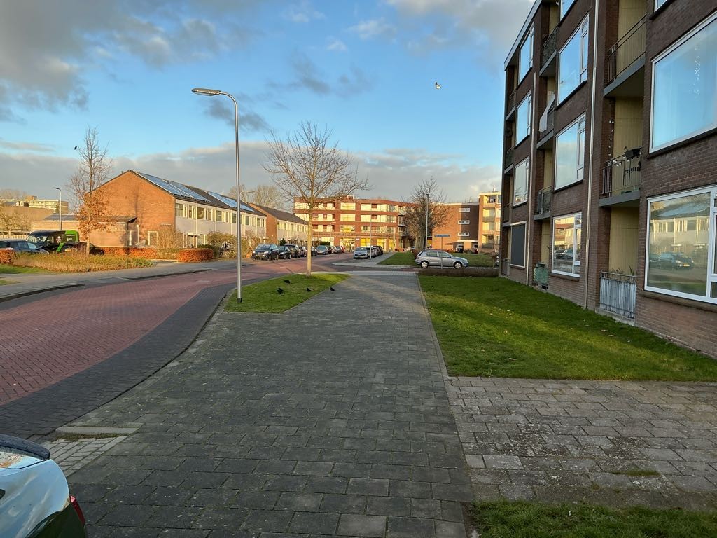 Zuiderlaan 26