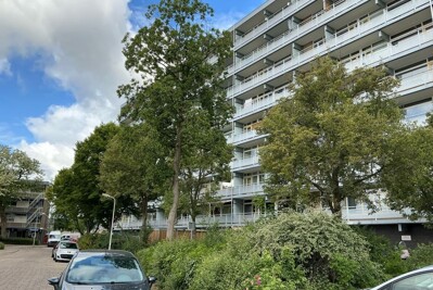 Jan van Goyenstraat 98