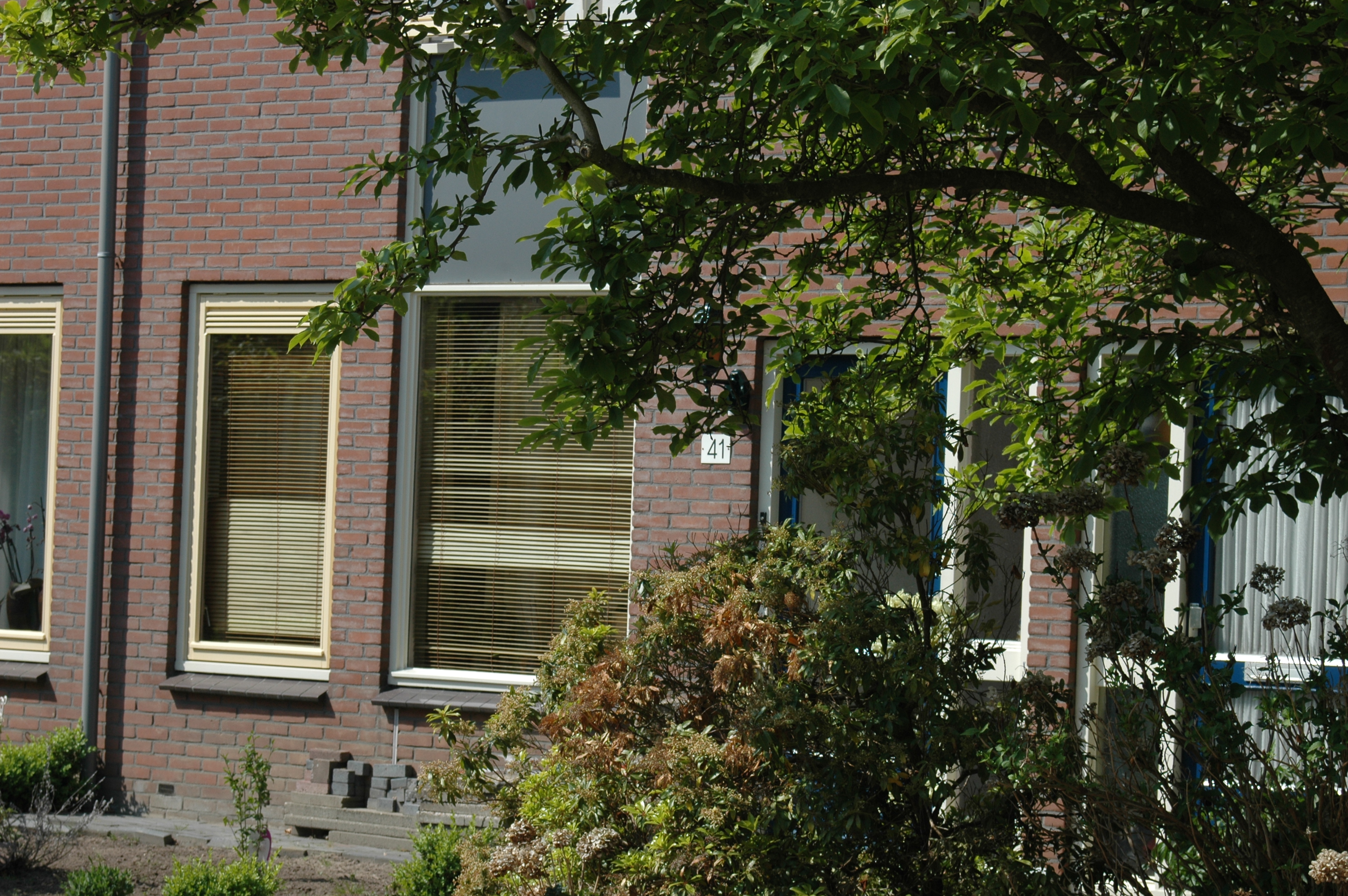 Hanny Schaftstraat 41