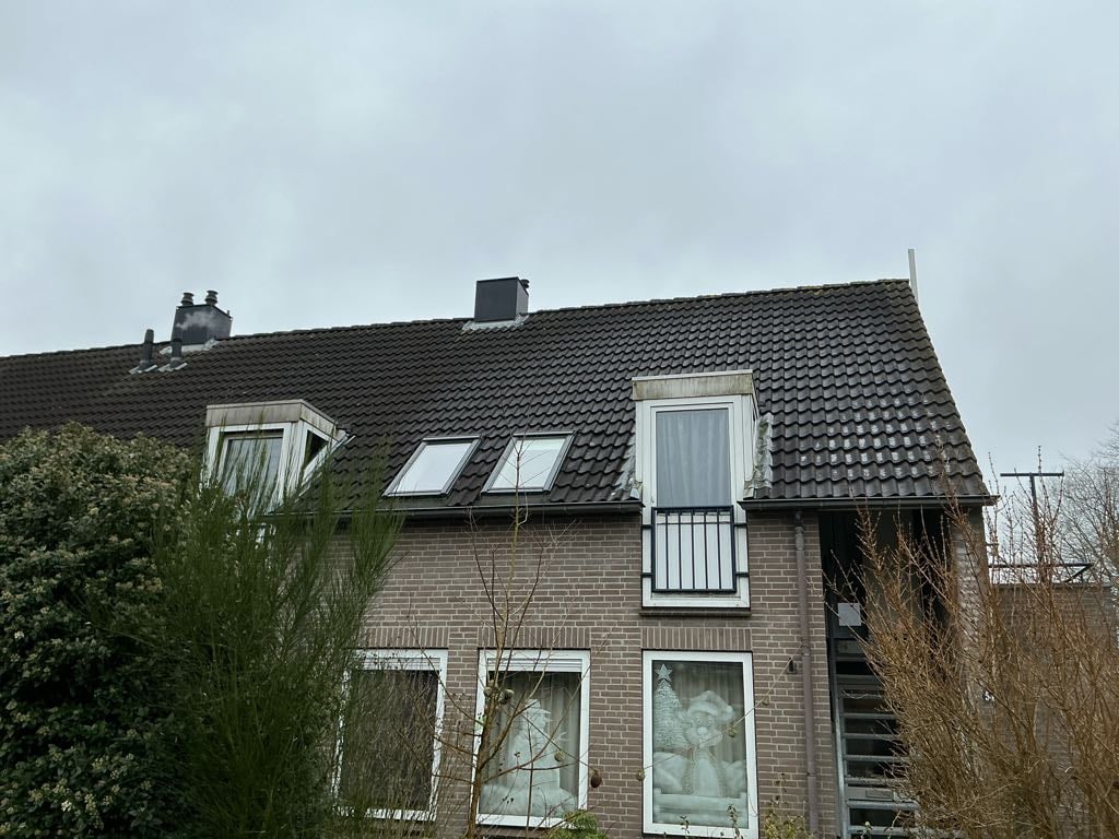 Riegheidestraat 54