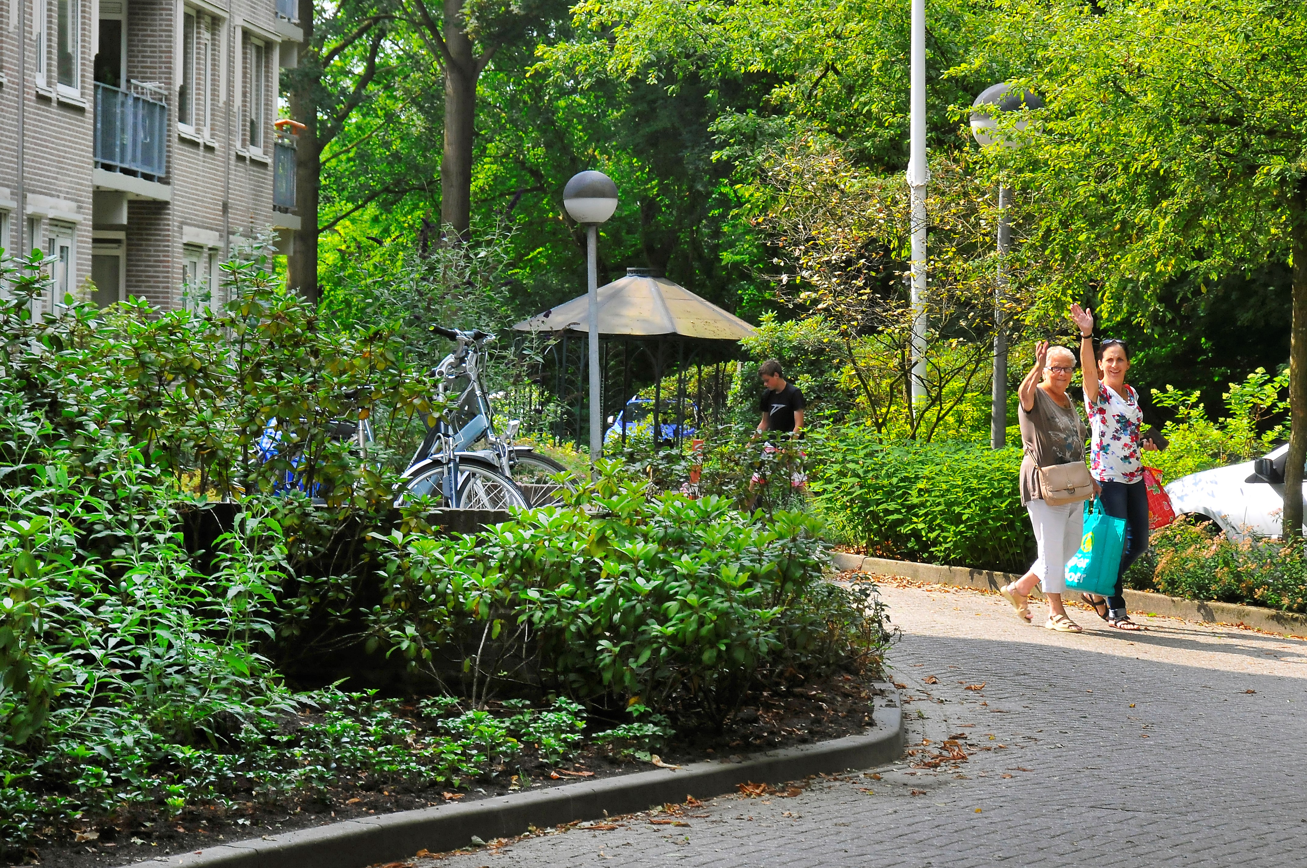 Leonard Springerlaan 52