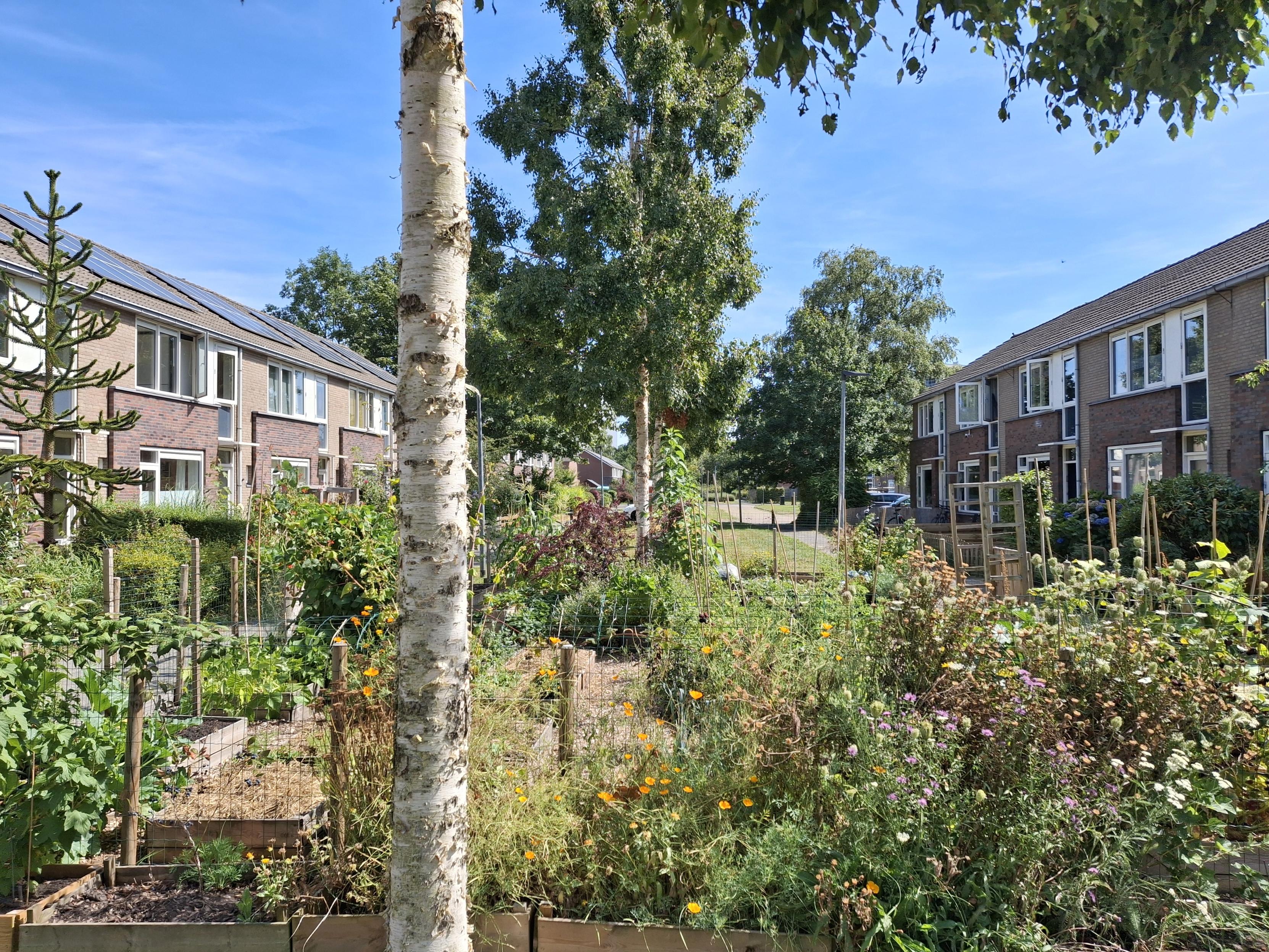 Gentiaanstraat 3