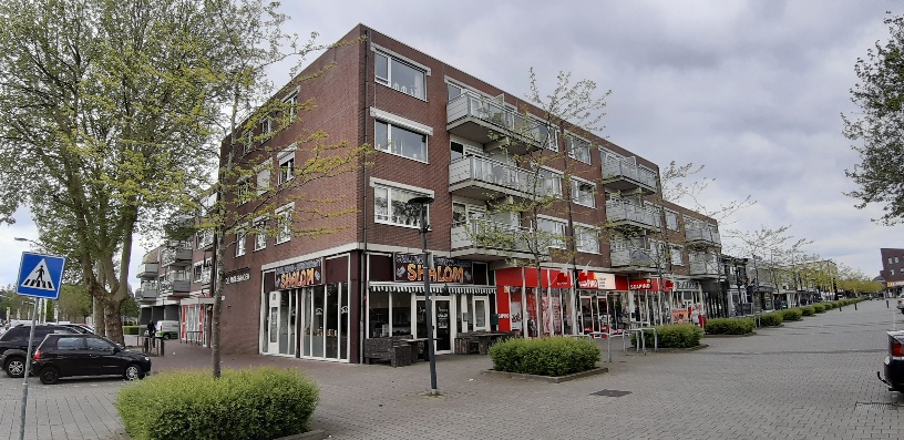 Pastoor Jongeriusstraat 52
