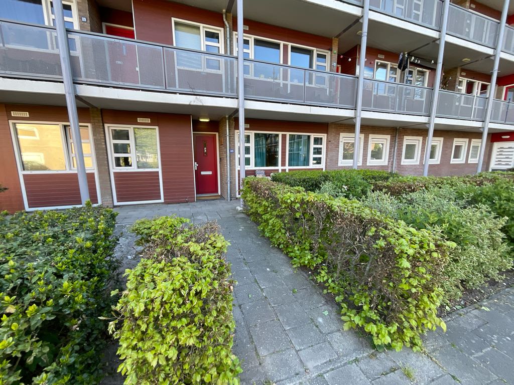 De Reiger 109