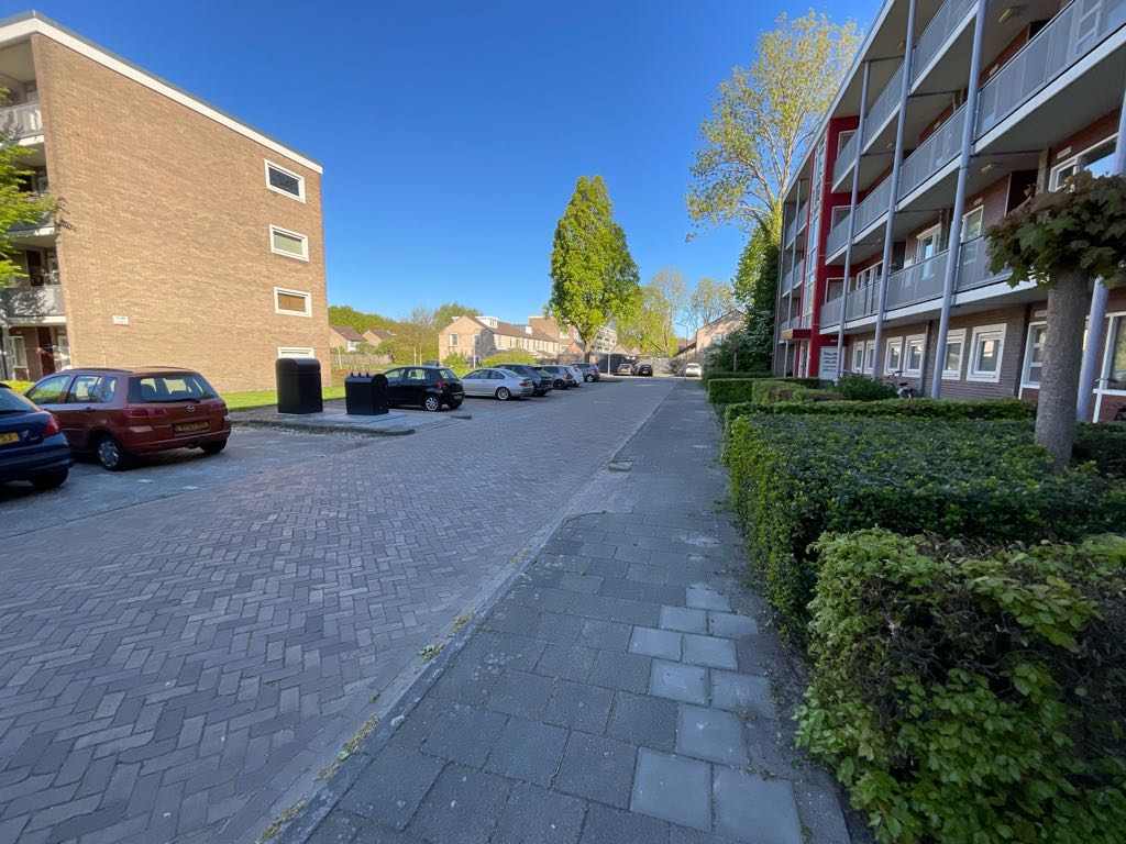 De Reiger 109