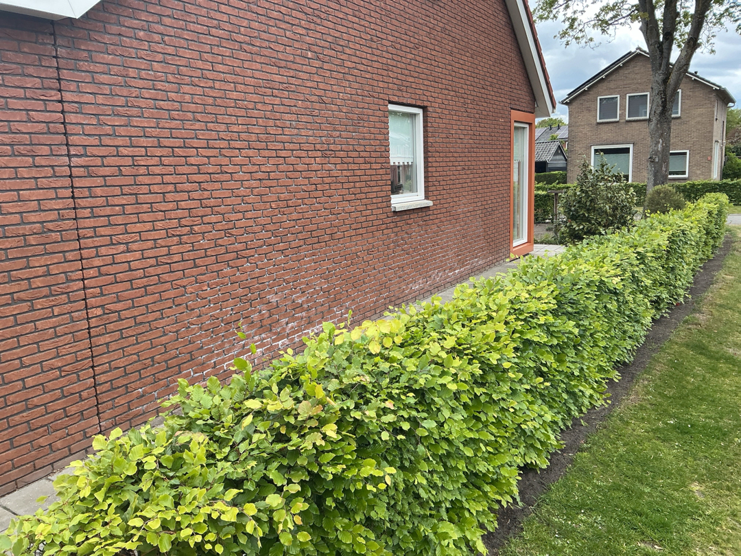 Esweg 6B