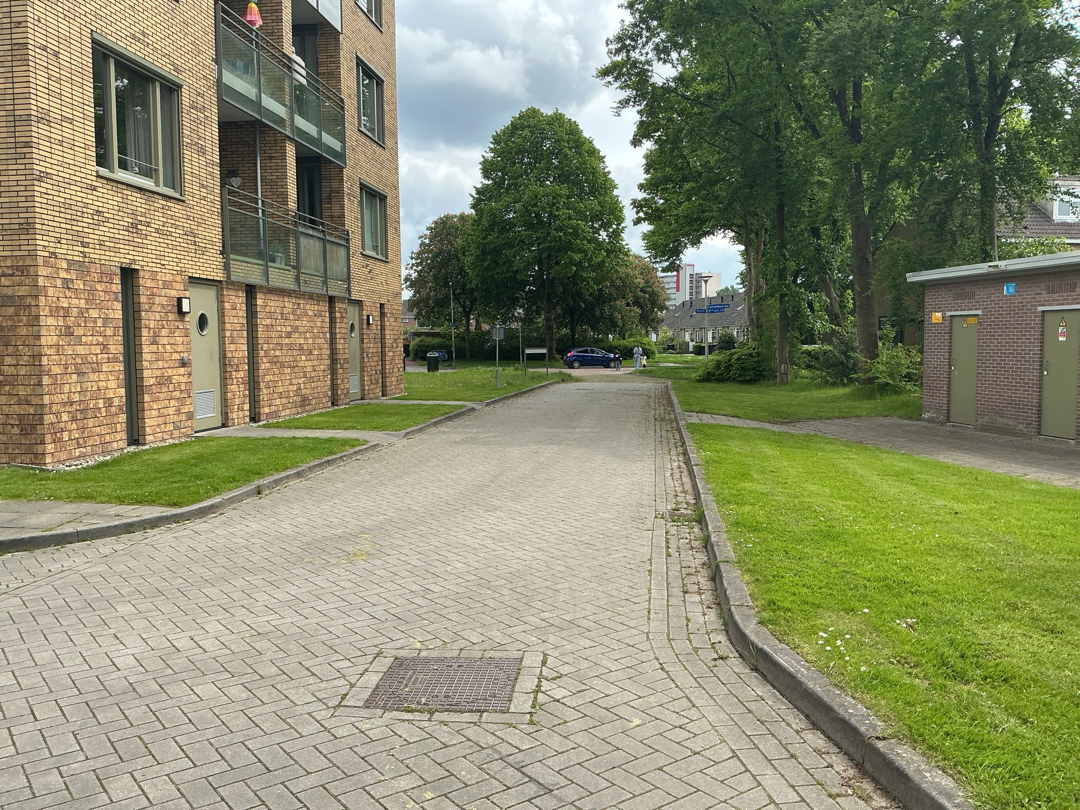 Lisdoddestraat 65