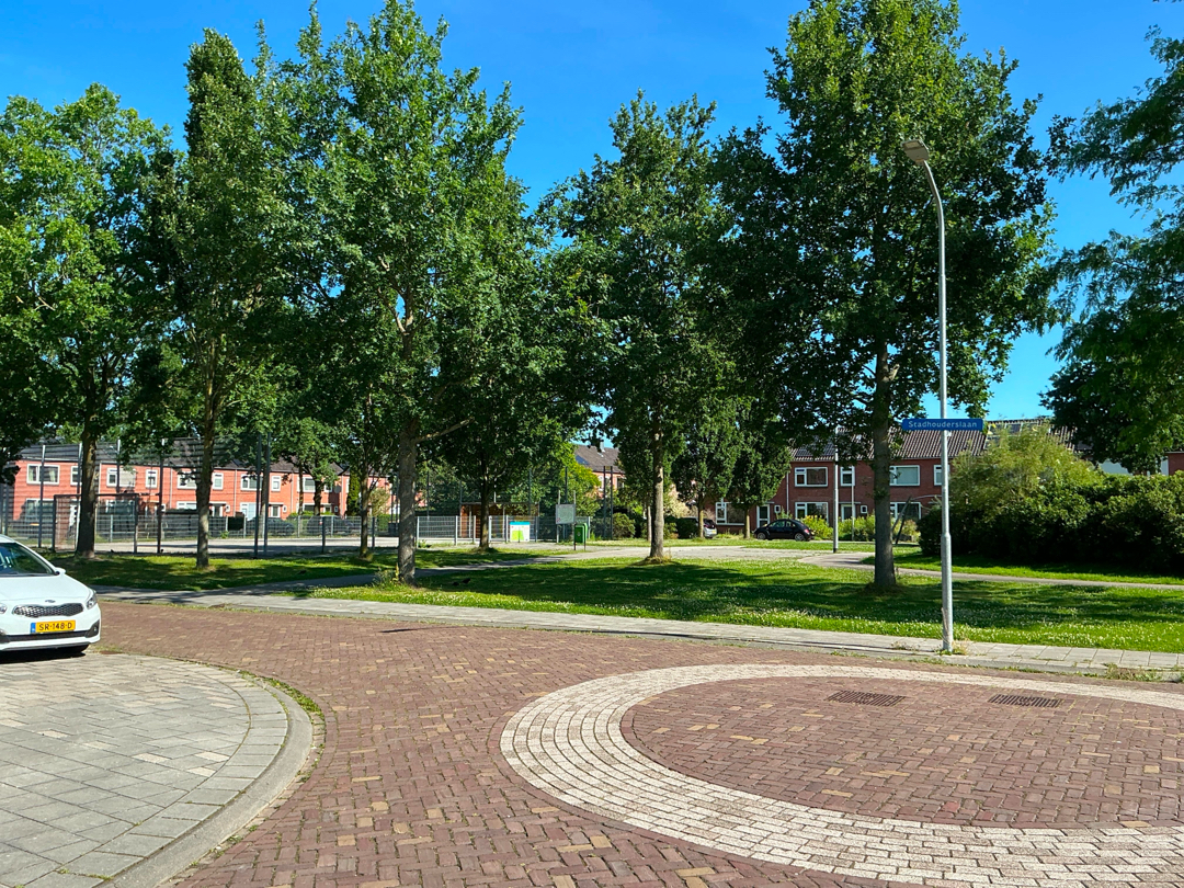 Pareaustraat 16